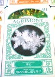 essカードhp用1.jpg)&show(auto_wcYoHr.jpg,画像の説明 essカードhp用1.jpg)&show(auto_wcYoHr.jpg,画像の説明